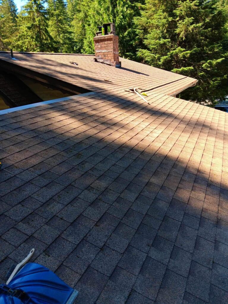 Roof Cleaning