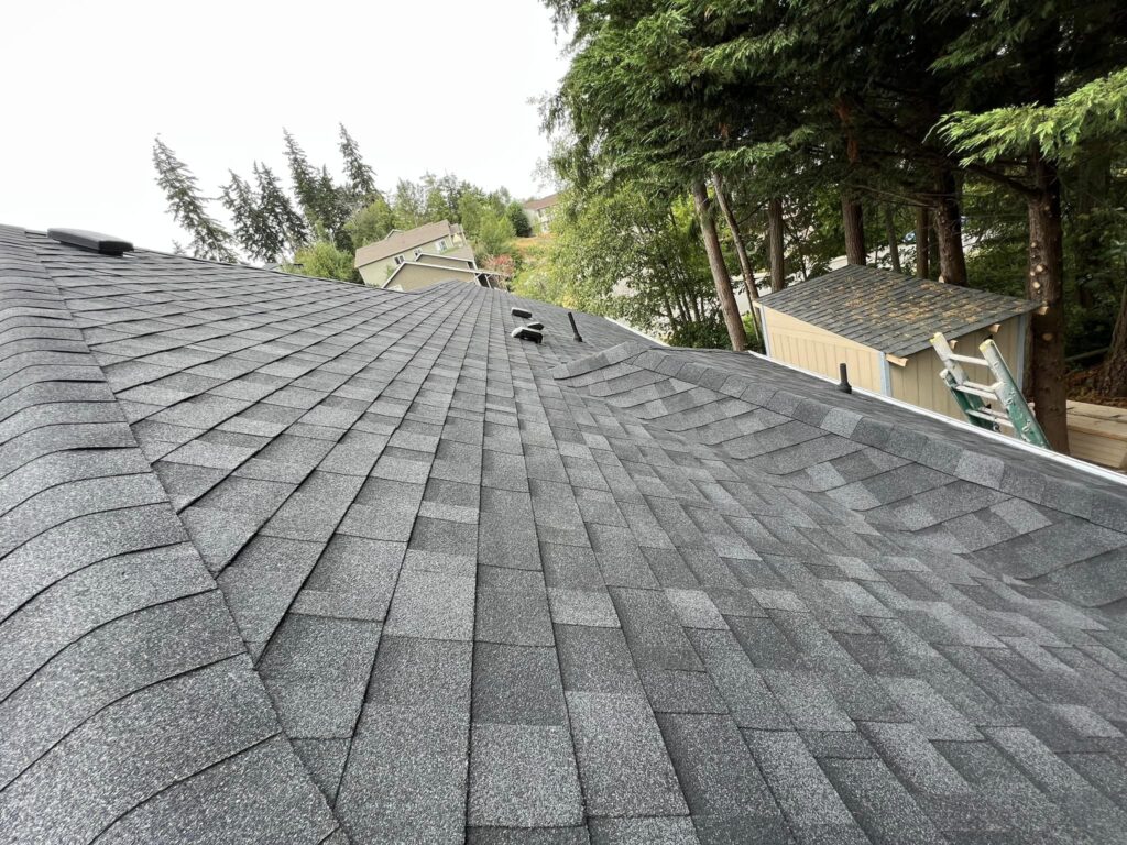 Shingled Project