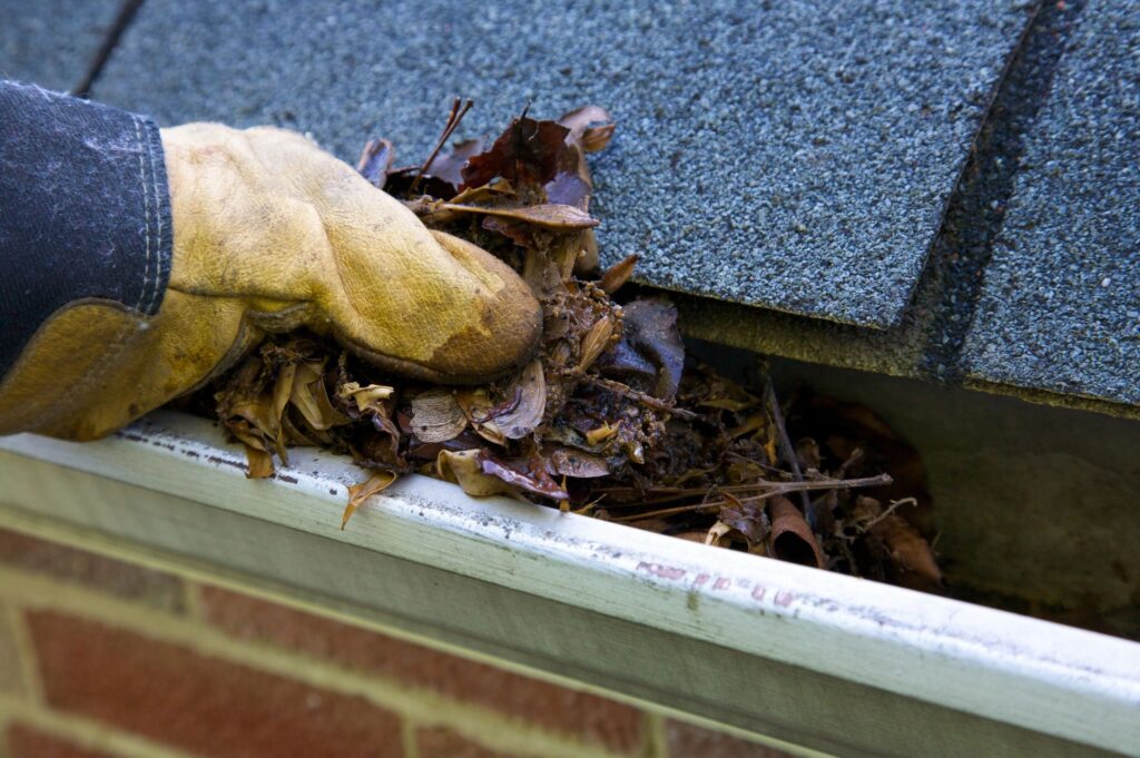 Cleaning out gutters