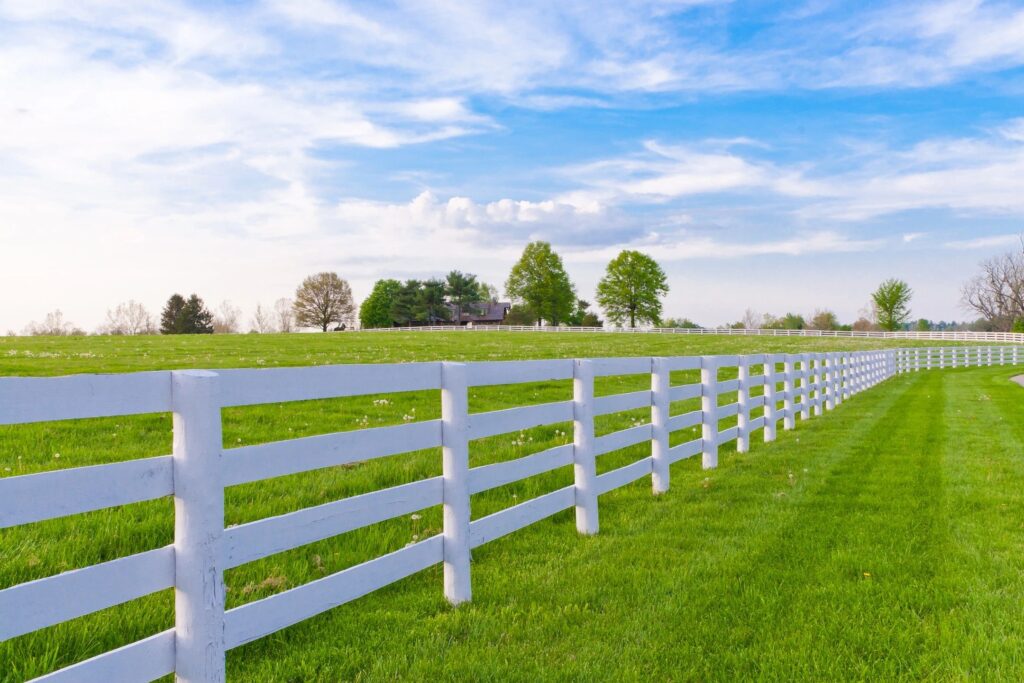 PVC Fences