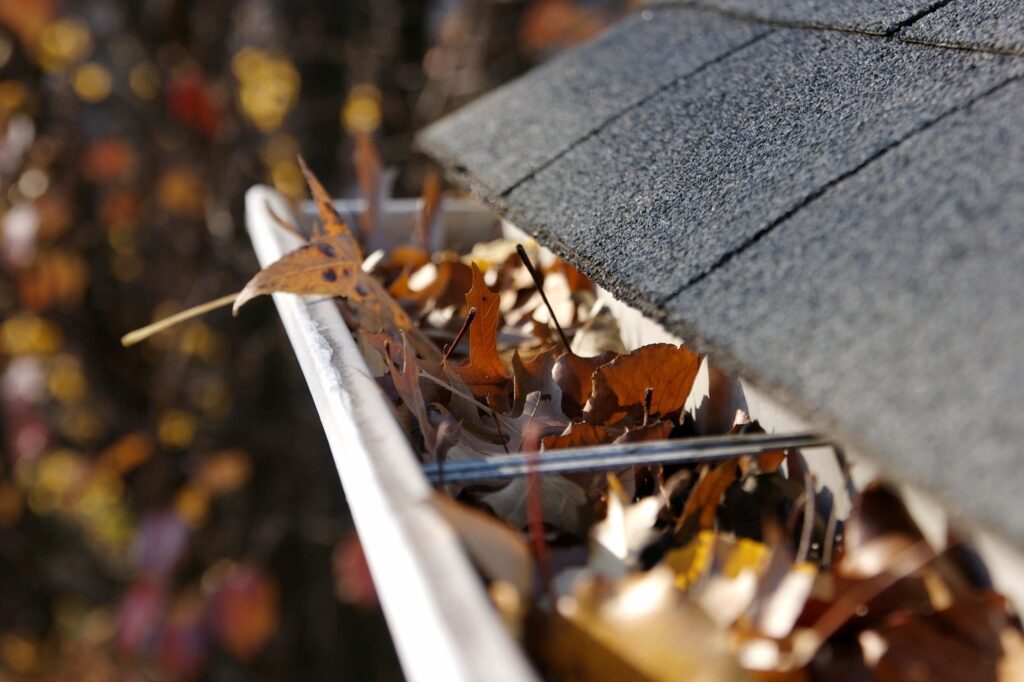 Gutters with leaves