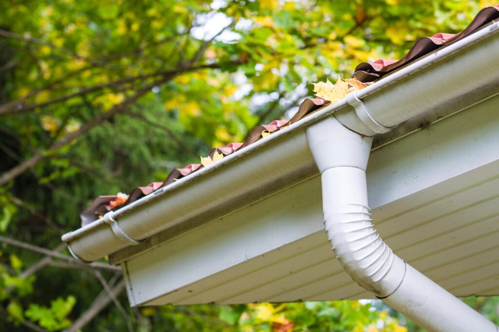 Gutter Services in Whatcom County